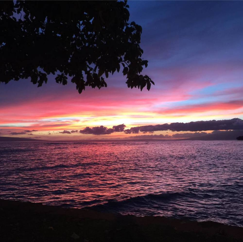 Meet your Posher, Adrienne